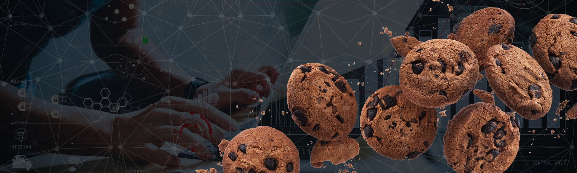 O mundo sem cookies e a fome de dados